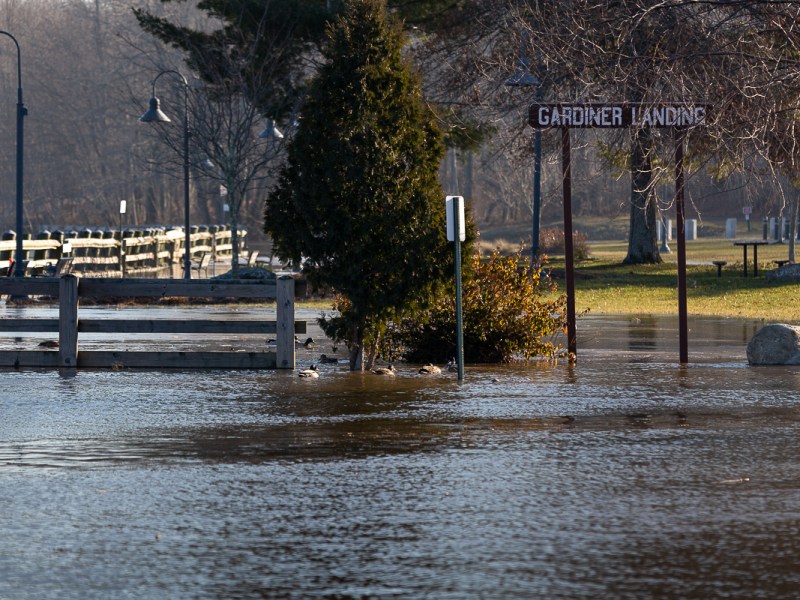 Caught in the&nbsp;Flood