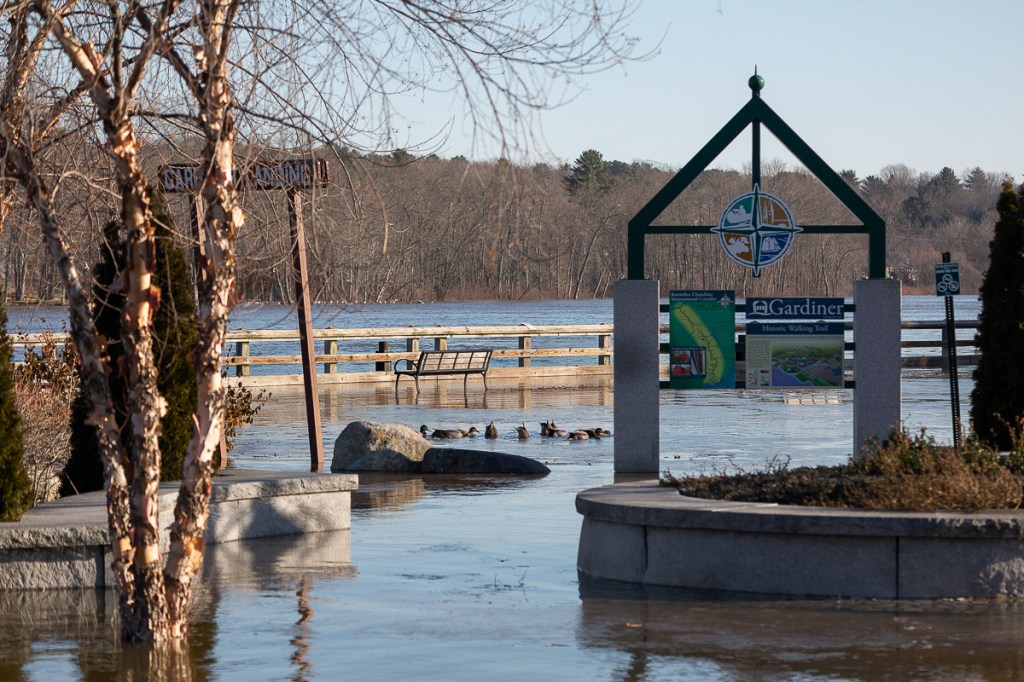 The water rises around the monuments and benches along the waterfront. The ducks have taken over the scene.