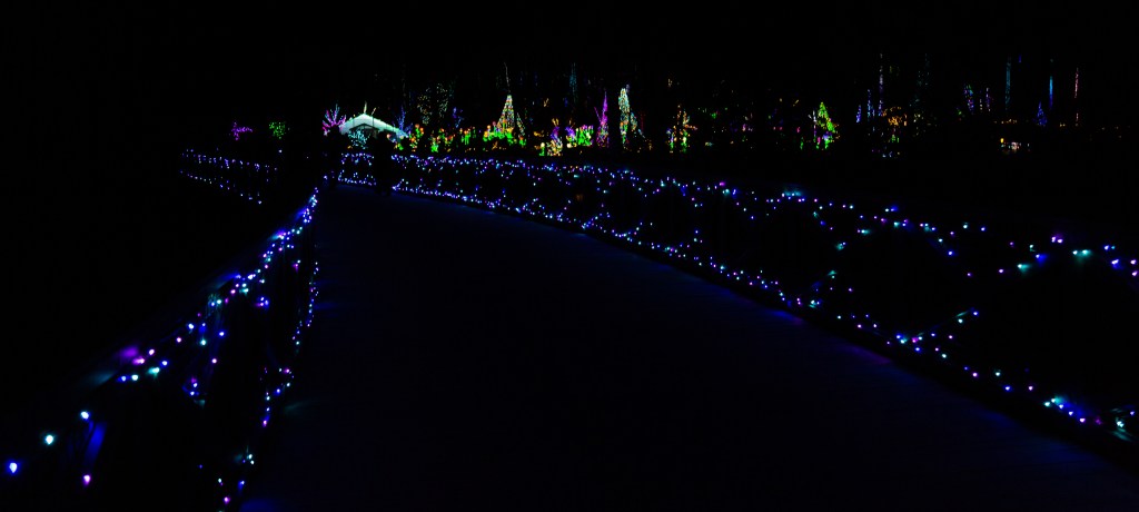 Crossing the blue and purple bridge to enter Gardens Aglow