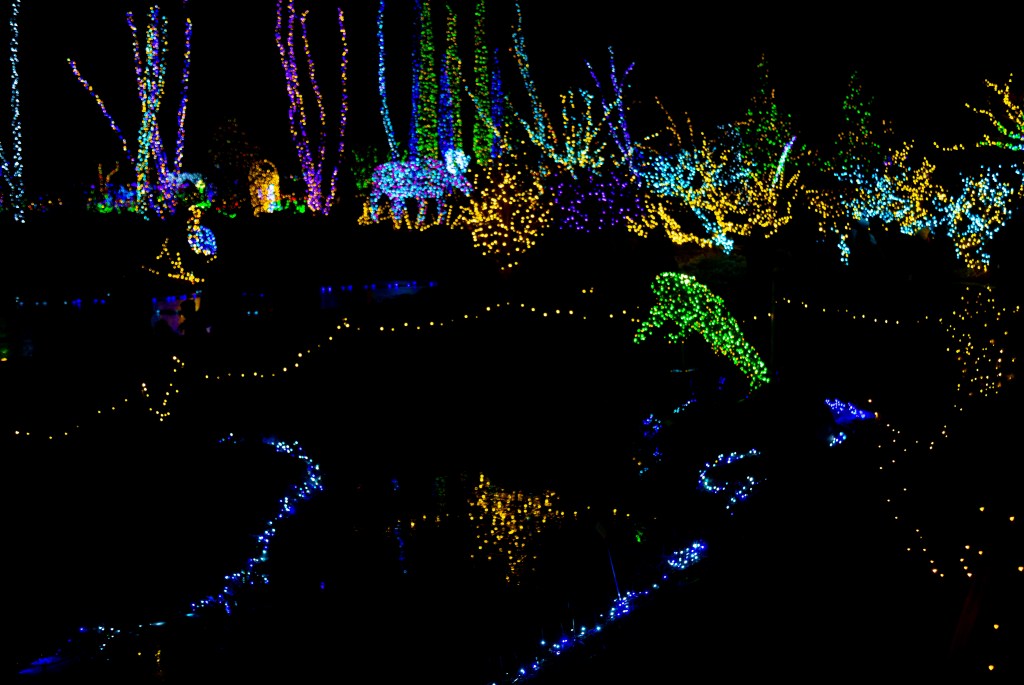 A moose, great blue heron, and frog gather at a frozen pond