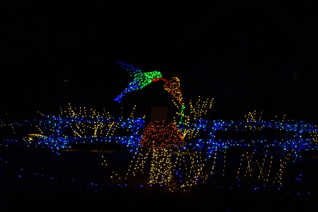 Green and blue hummingbird drinking from an orange flower