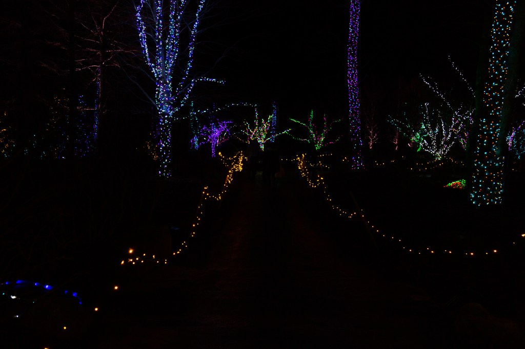 Yellow paths into the darkness beyond surrounded by colorful glowing trees.