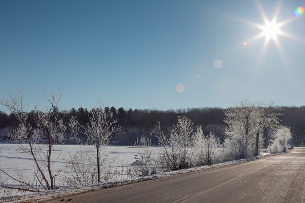 Ice covered branches on a road leading past a pond for ice fishing.