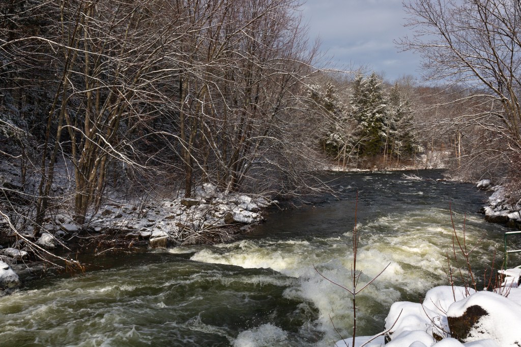 Snow covered trees surround the rushing Kennebec River the morning after the storm.