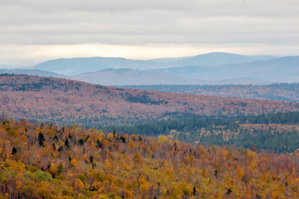Red and orange treetops extending to blue hazy mountings in the distance.