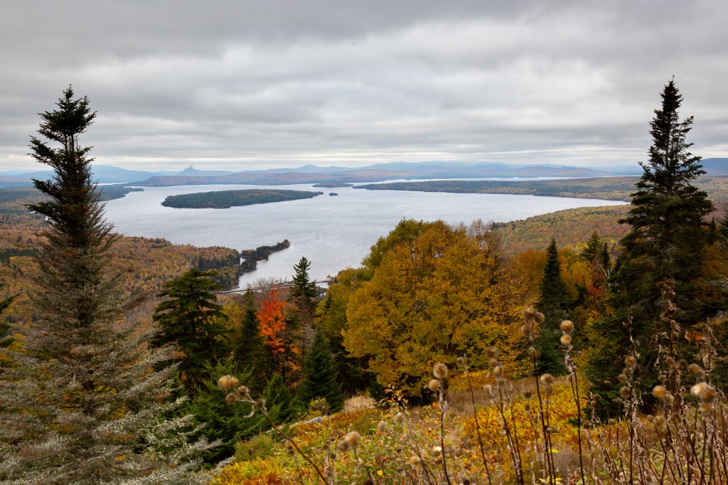Looking across the scenic overlook to Rangeley Lakes below. Pine trees and orange leaves.