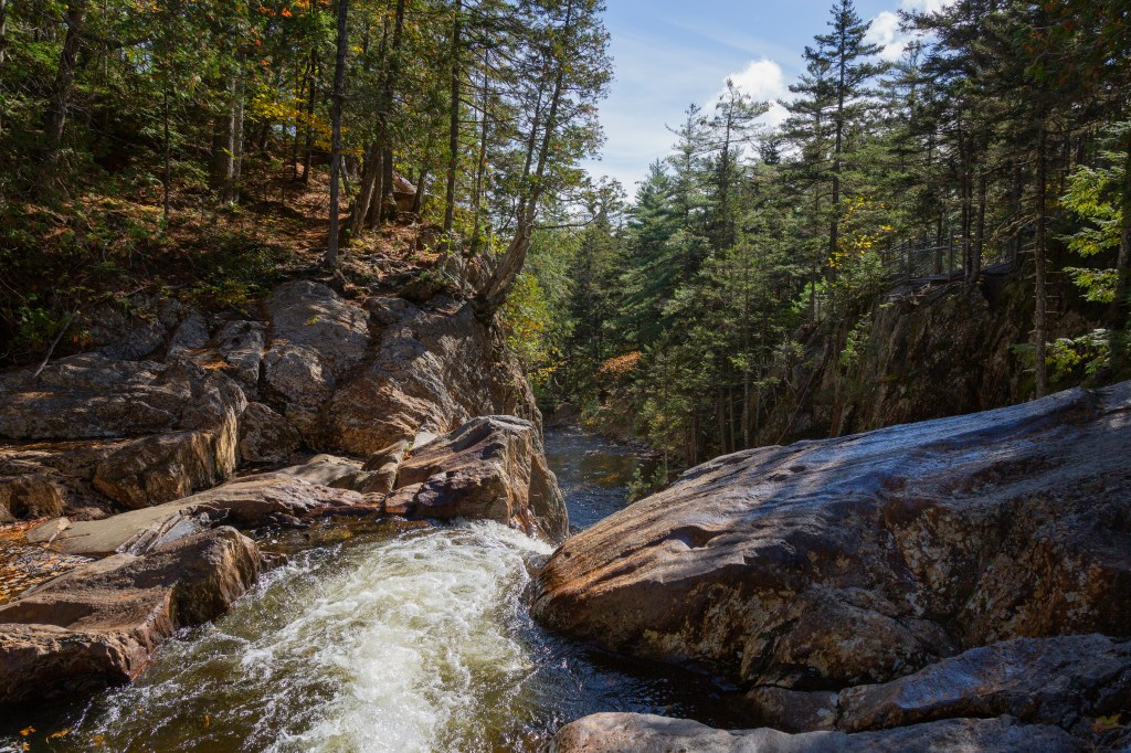 waterfalls lines with pine trees