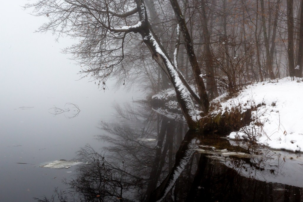 Snow covered branches and fog on the river.